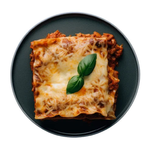 lasagna top view