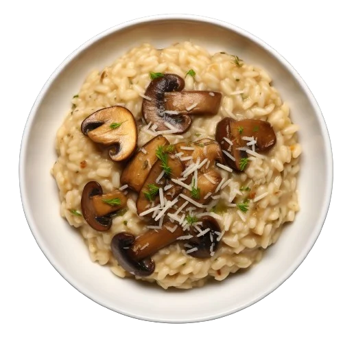 porcini mushroom risotto top view