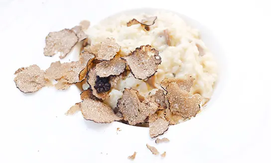 truffle risotto dish from top