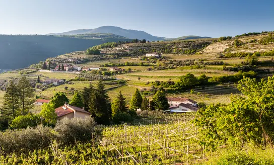 Valpolicella Region